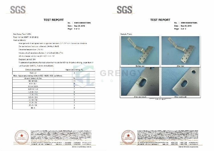 XMIN1809006751 SGS test report of pv hook