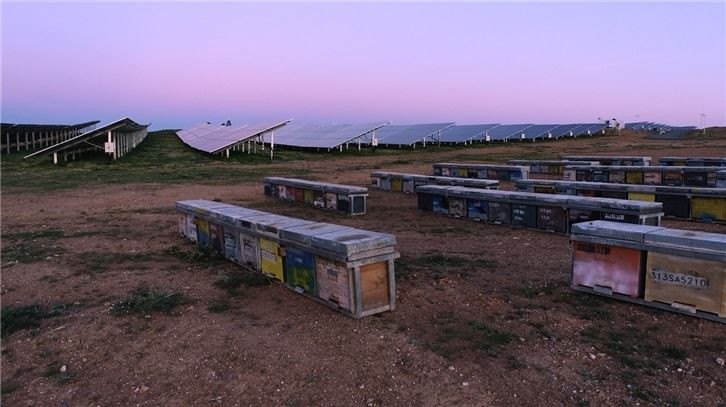 solar farm
