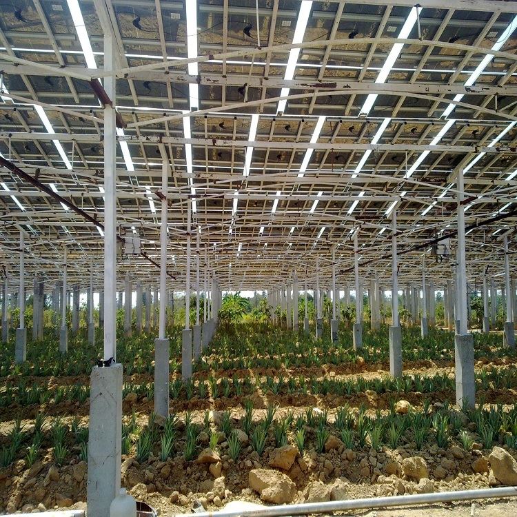 solar farm structure