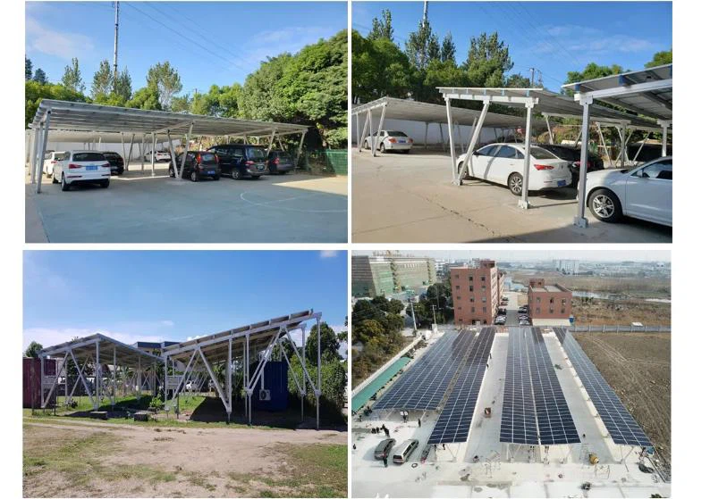 product-794-559 product-794-559