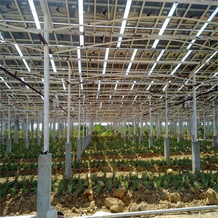 Struktur Pertanian PV Surya