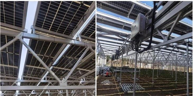 Solar Agriculture Mounting Structure
