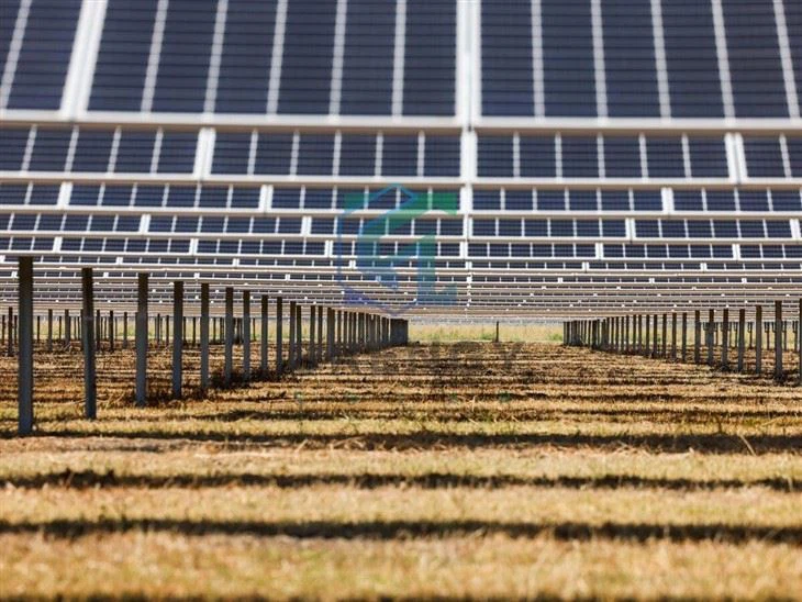 Agriculture Solar Farm Mounting Racking Structure