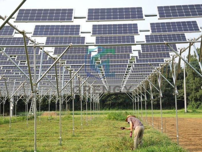 Agriculture Solar Farm Mounting Racking Structure