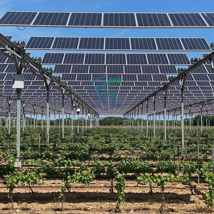 Agriculture Solar Farm Mounting Racking Structure