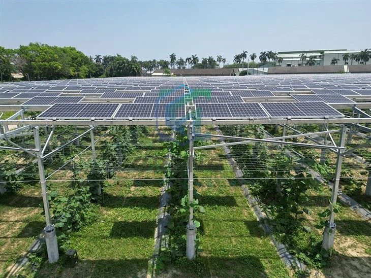 Agriculture Solar Farm Mounting Racking Structure