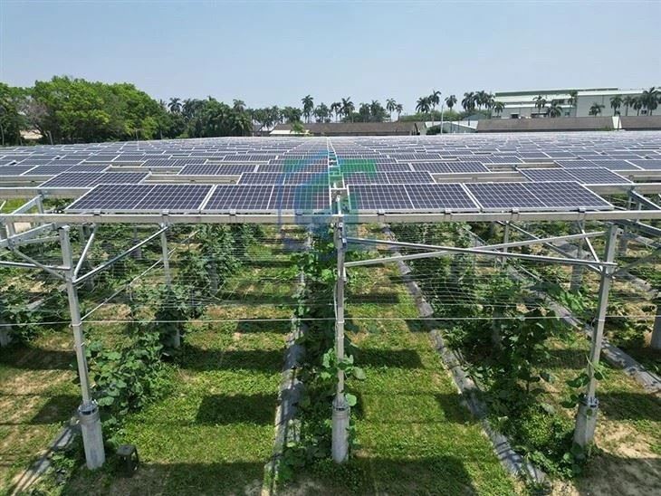 Dual-Use Solar Racks For Farms best